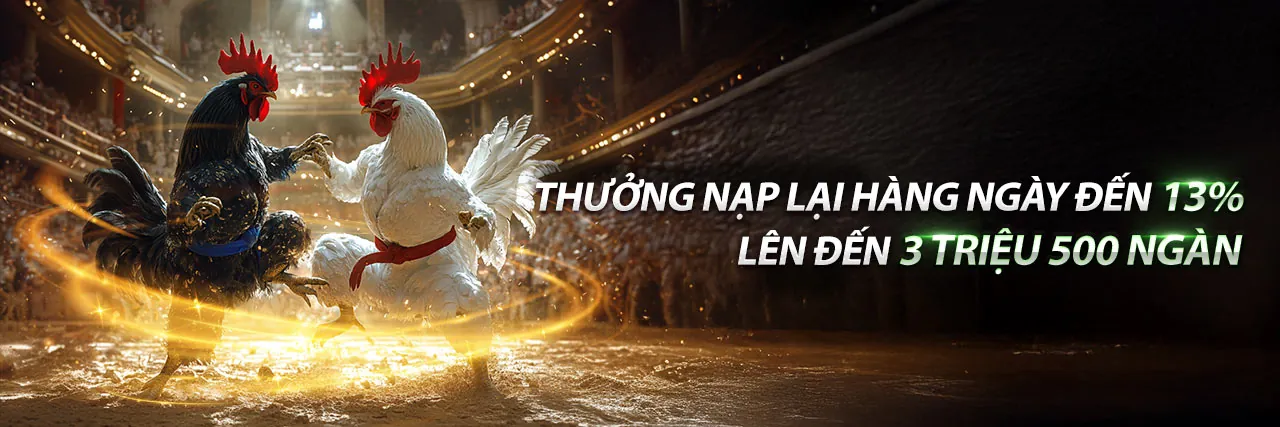 Sân đấu đá gà trực tuyến sôi động tại 6623galaxy app